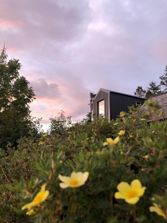 Tiny Home In Isle Of Skye-Pet Friendly Elgol Ngoại thất bức ảnh